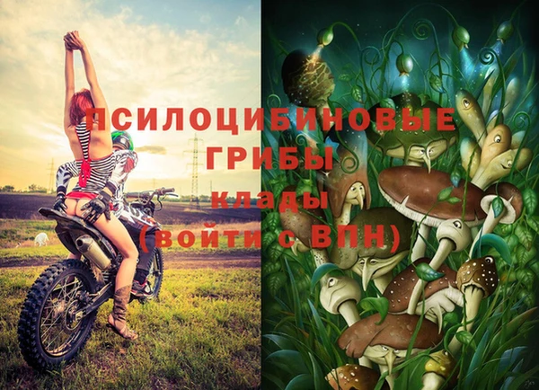 таблы Алзамай