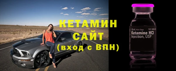 прущие грибы Наволоки