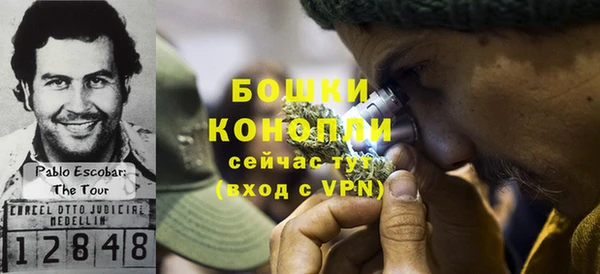 ГАЛЛЮЦИНОГЕННЫЕ ГРИБЫ Артём