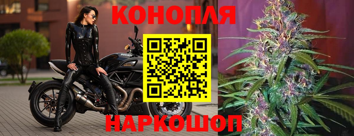 Бошки Шишки планчик Ковров
